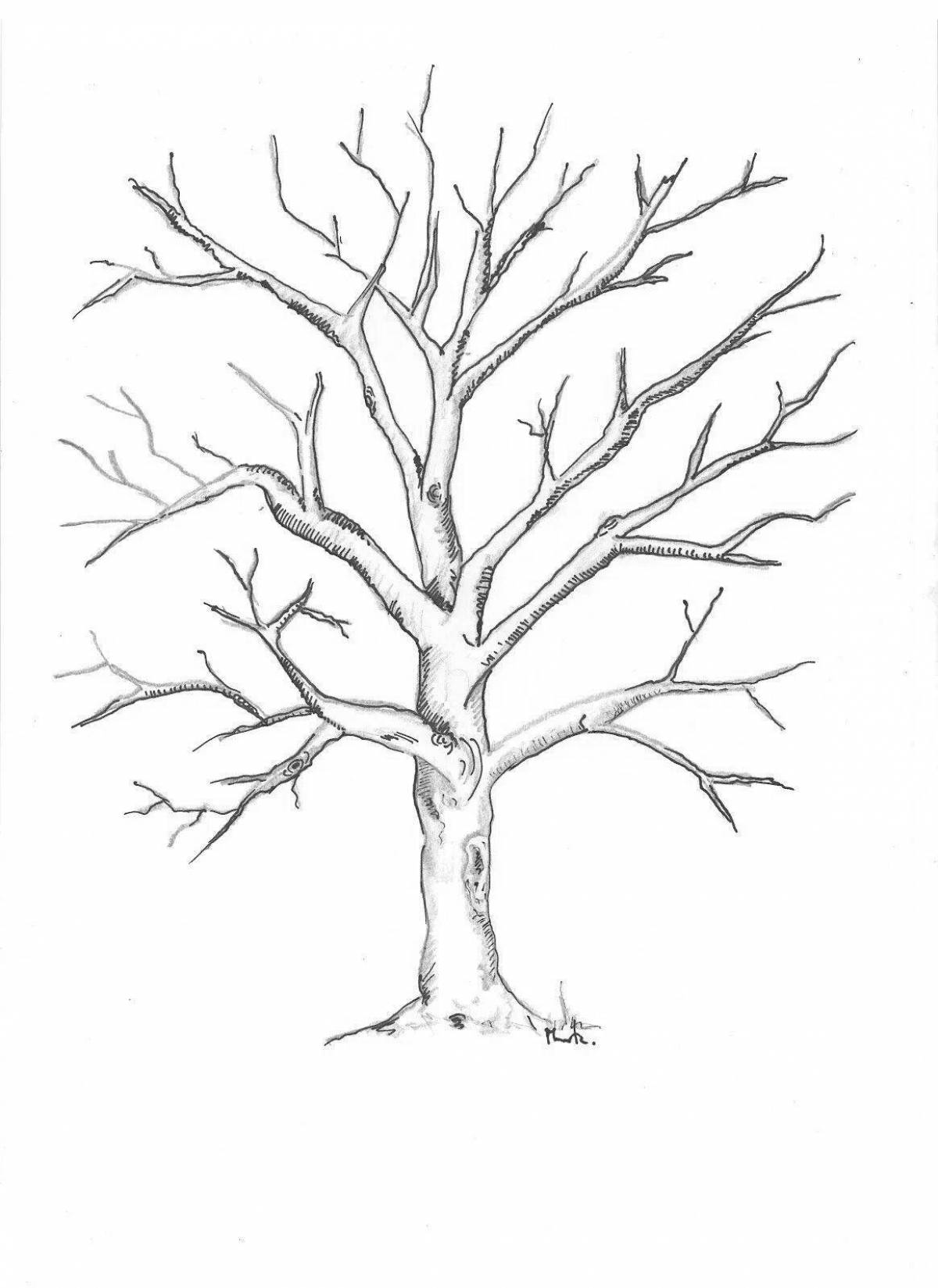 Glittering branchy tree coloring book