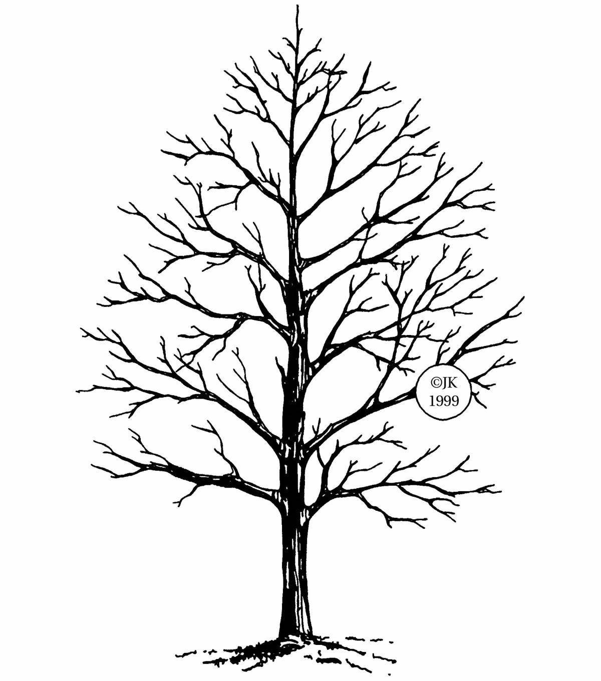 Coloring book glowing branchy tree