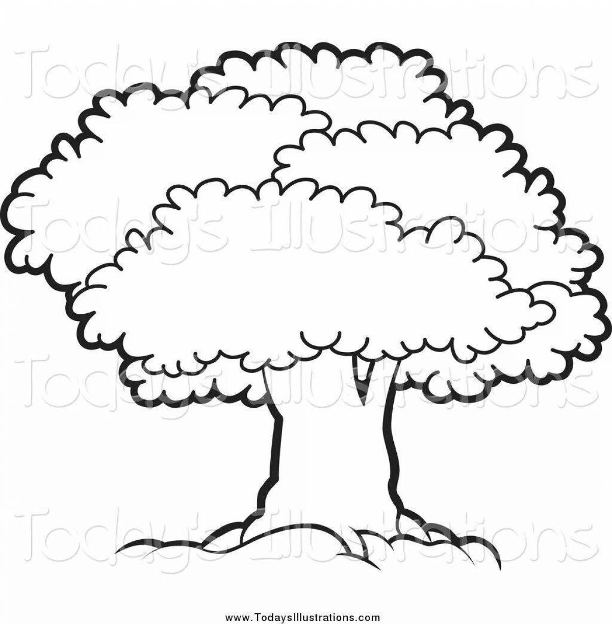 Раскраска безмятежное ветвистое дерево