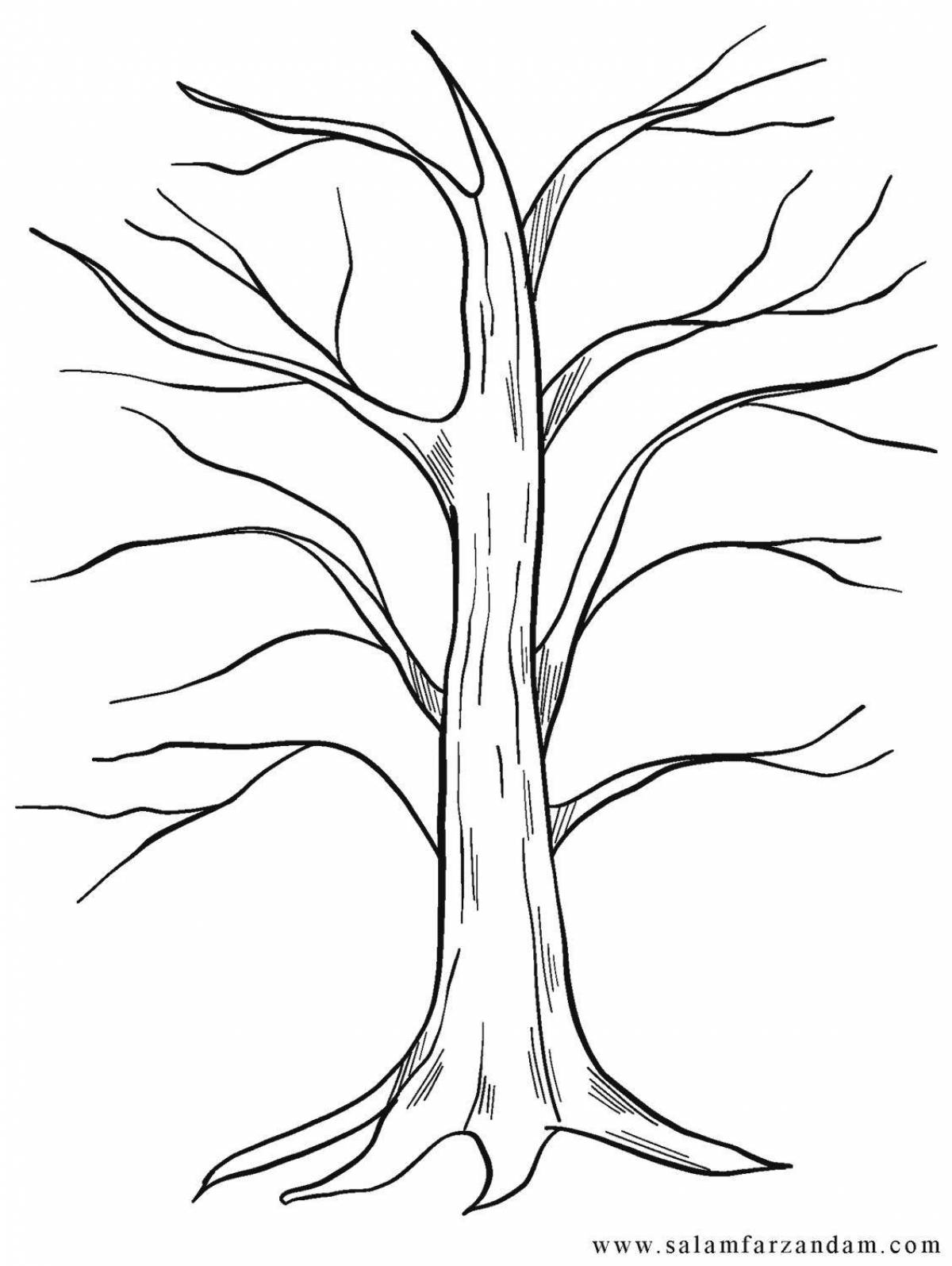 Раскраска экзотическое ветвистое дерево