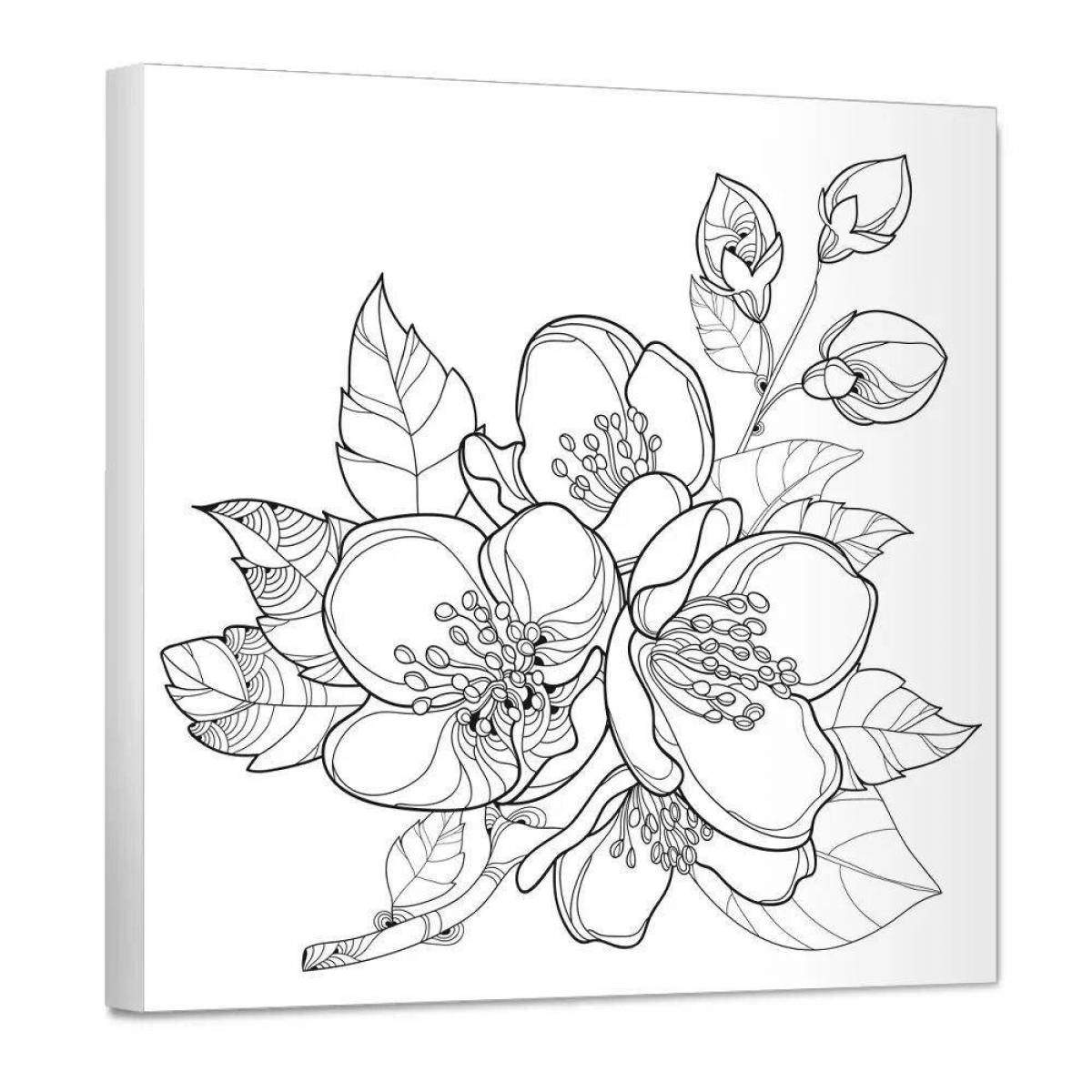 Coloring page delicate jasmine flower
