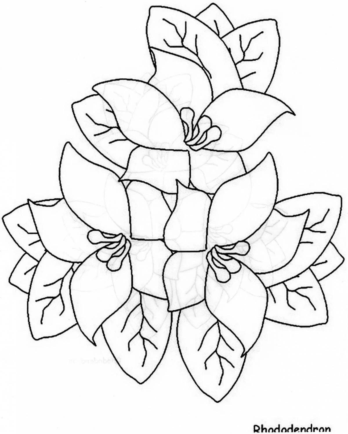 Раскраска потрясающий цветок жасмина