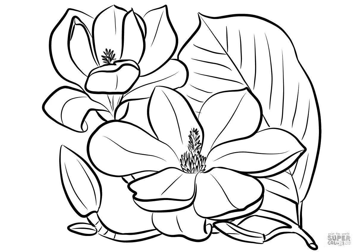 Coloring page playful jasmine flower