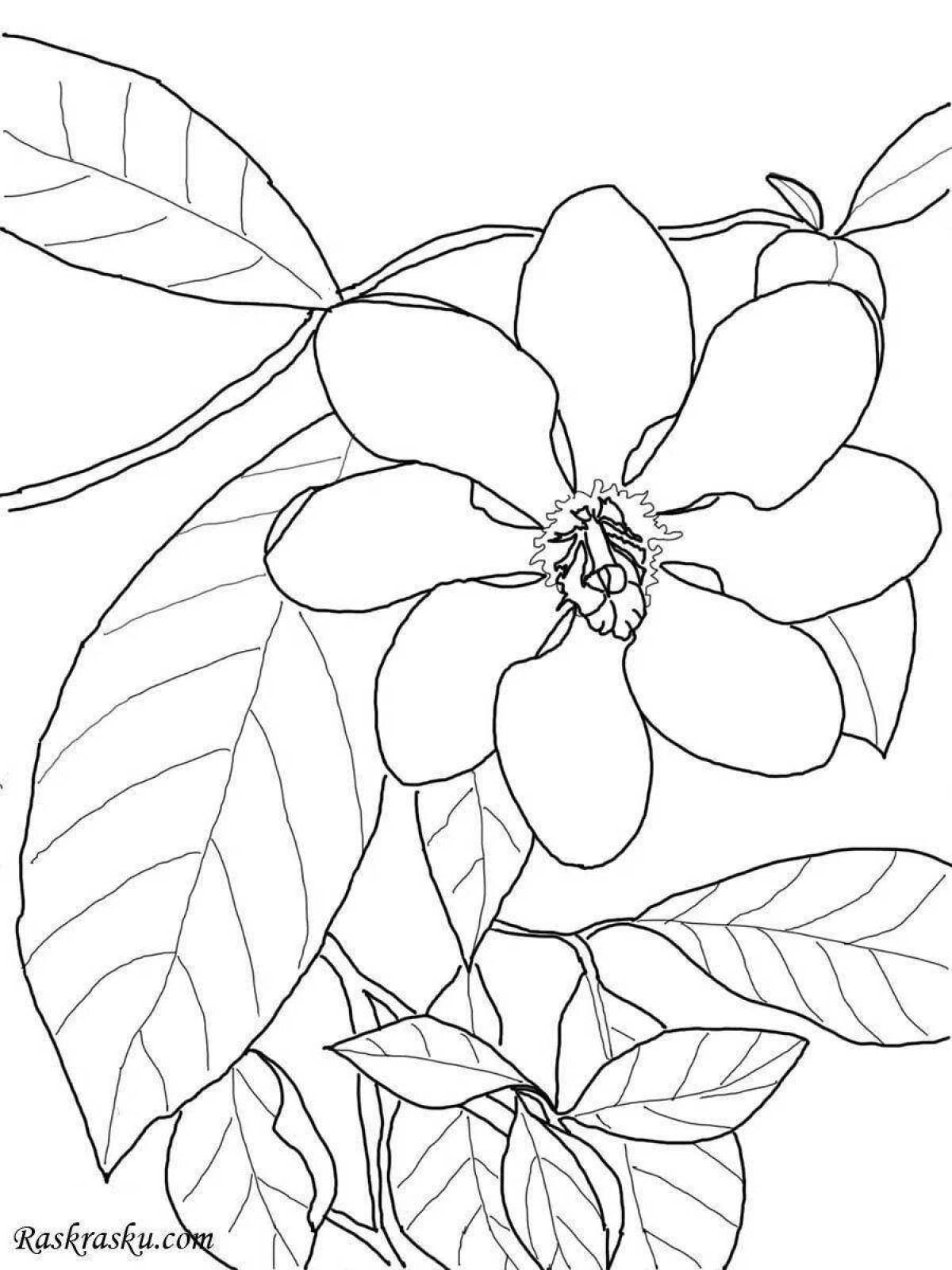 Раскраска веселый цветок жасмина