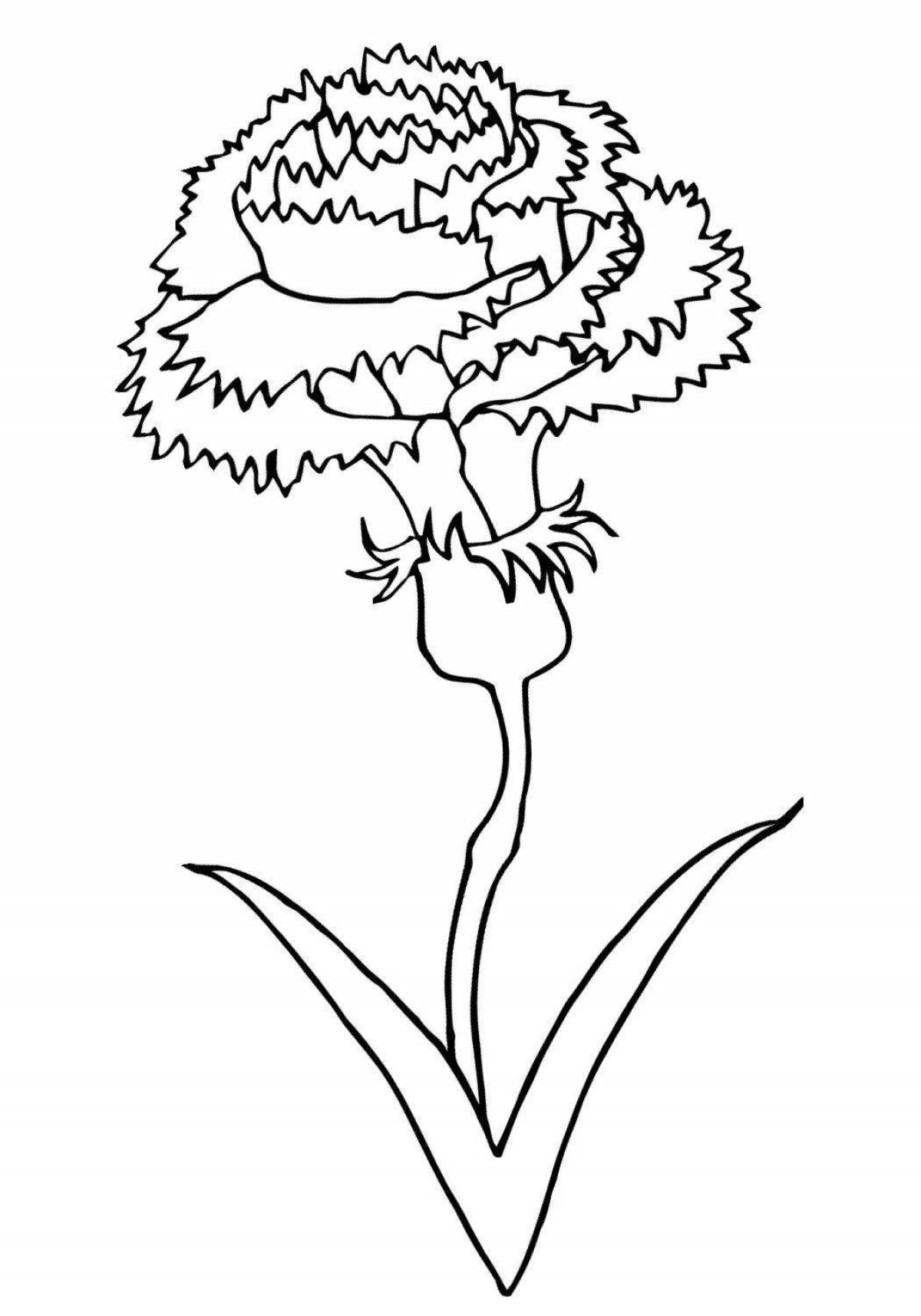 Coloring book cheerful bouquet of carnations