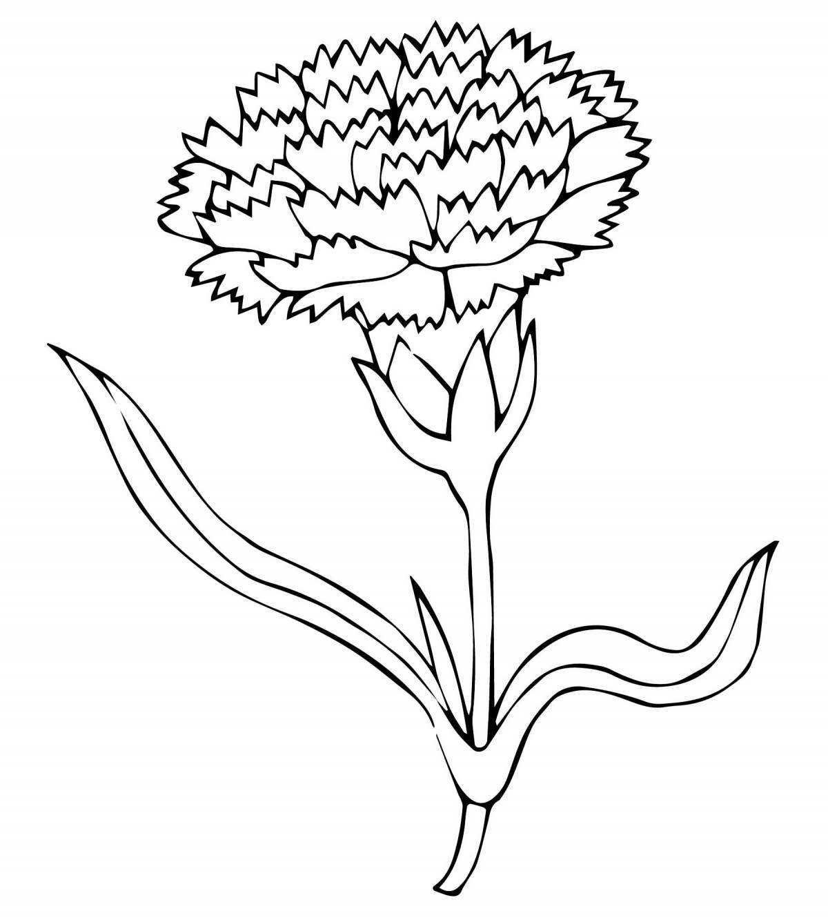 Colorful bouquet of carnations coloring page