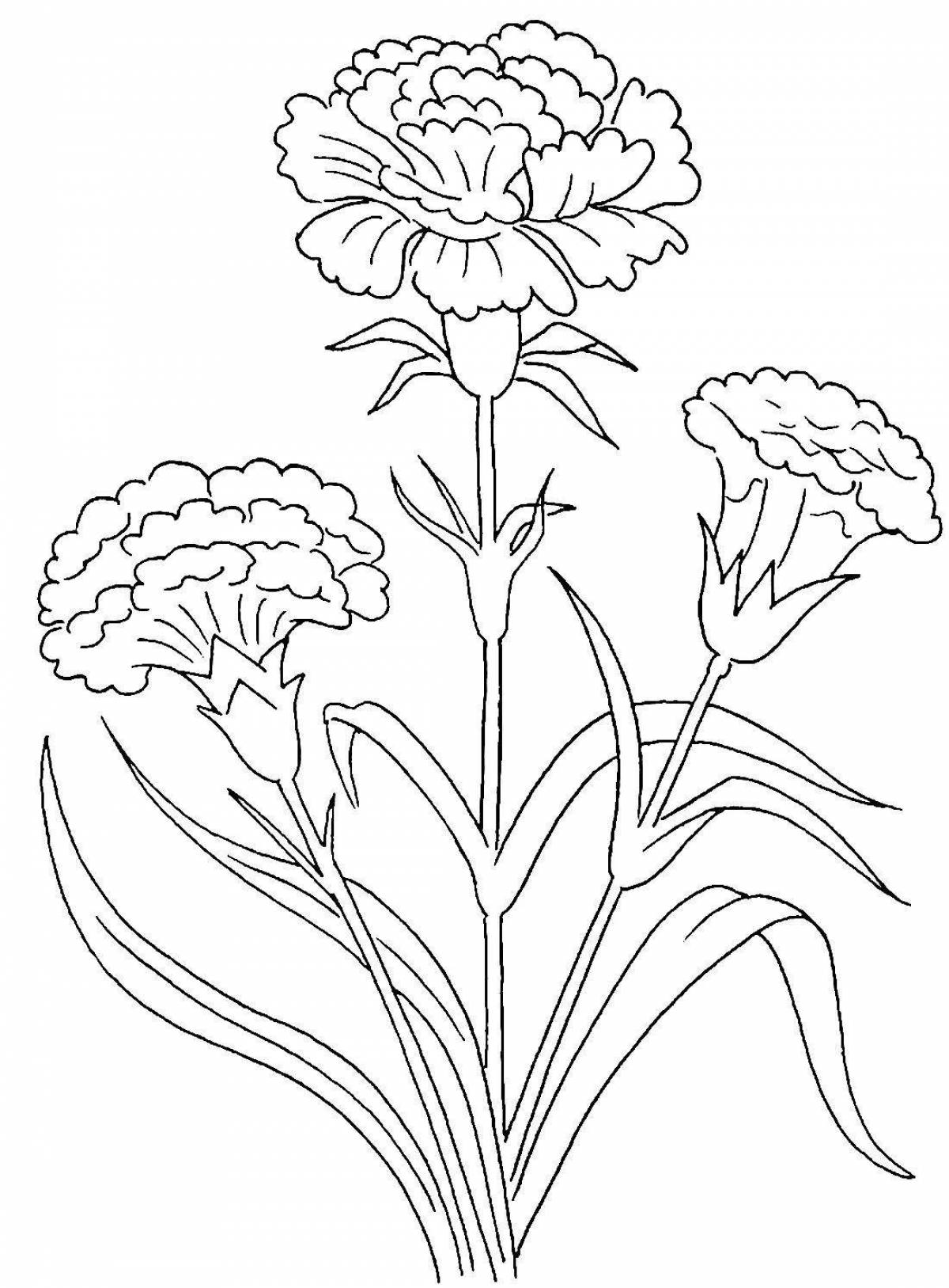 Coloring book exquisite bouquet of carnations