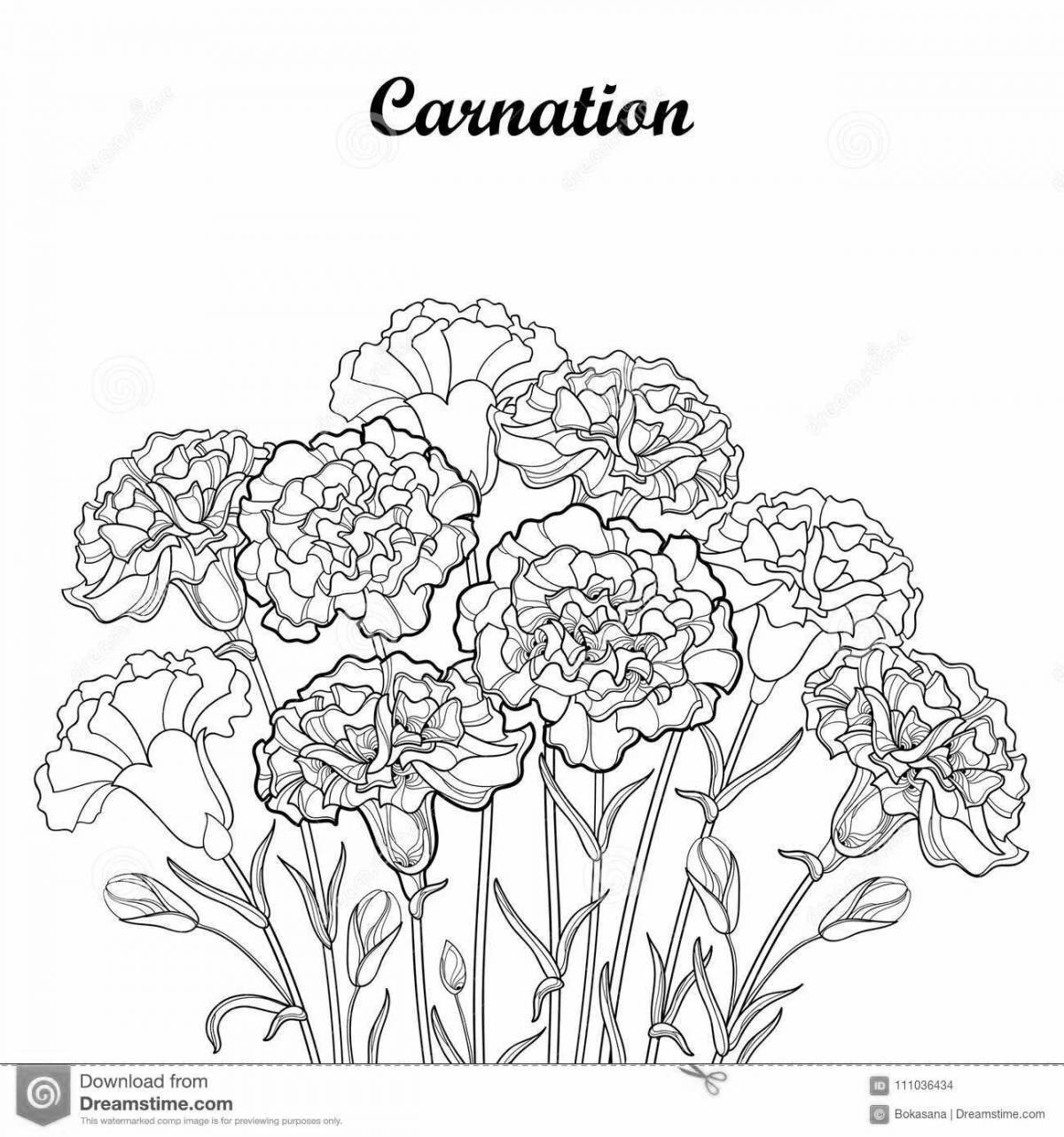 Coloring amazing bunch of carnations