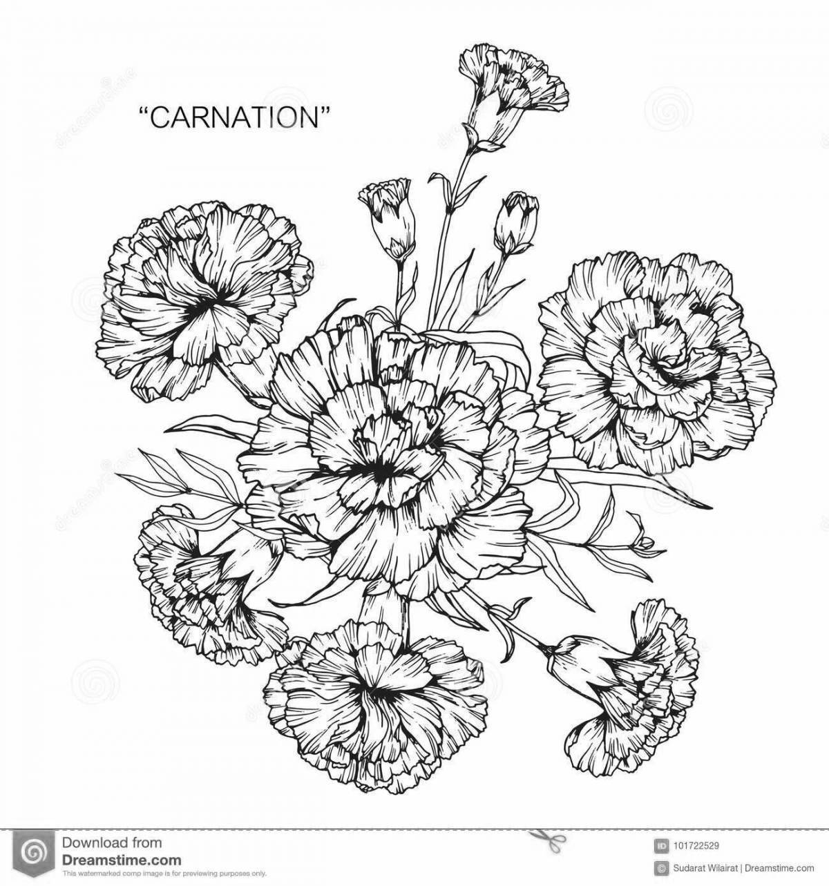 Coloring page charming bouquet of carnations