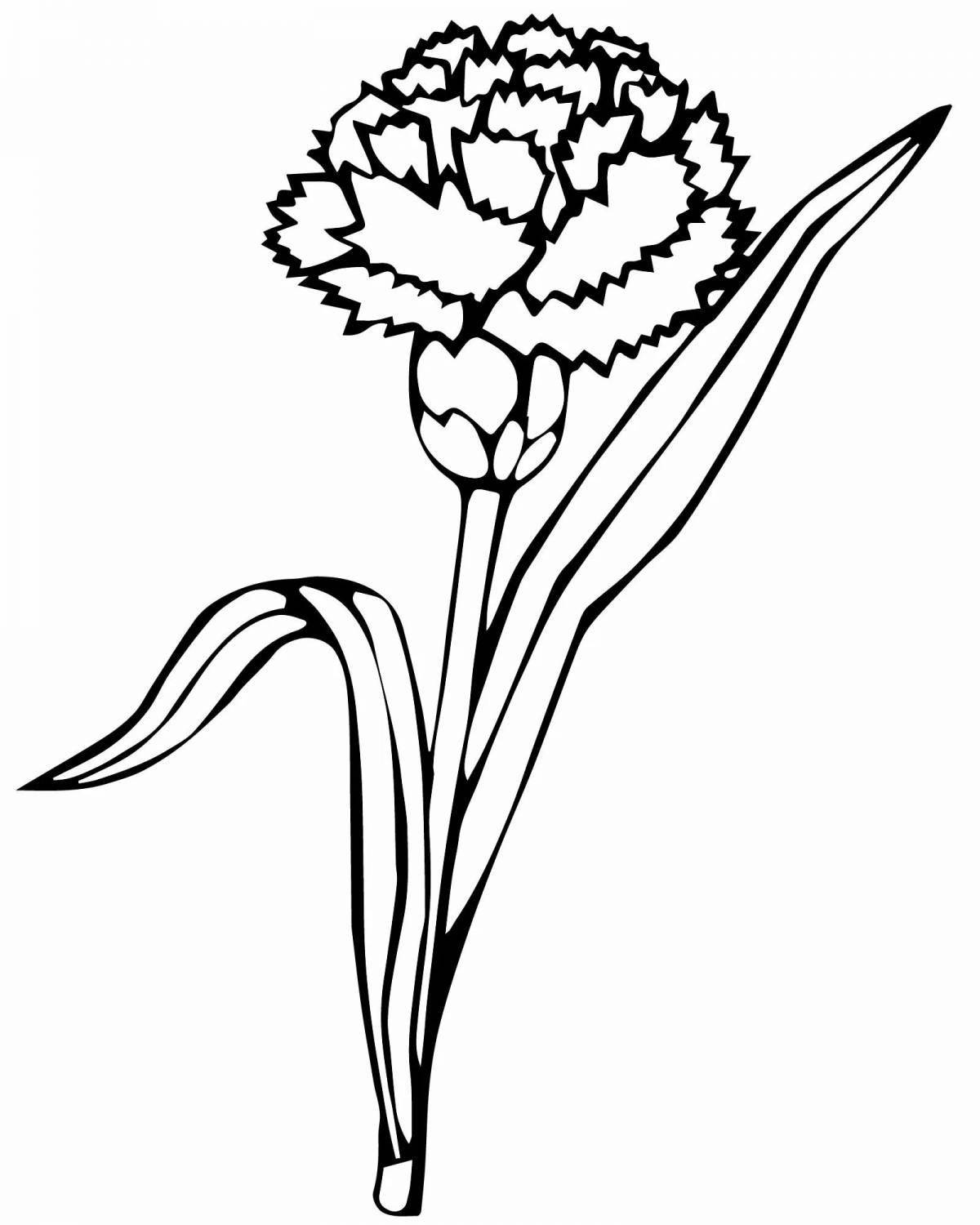 Coloring page blissful bouquet of carnations