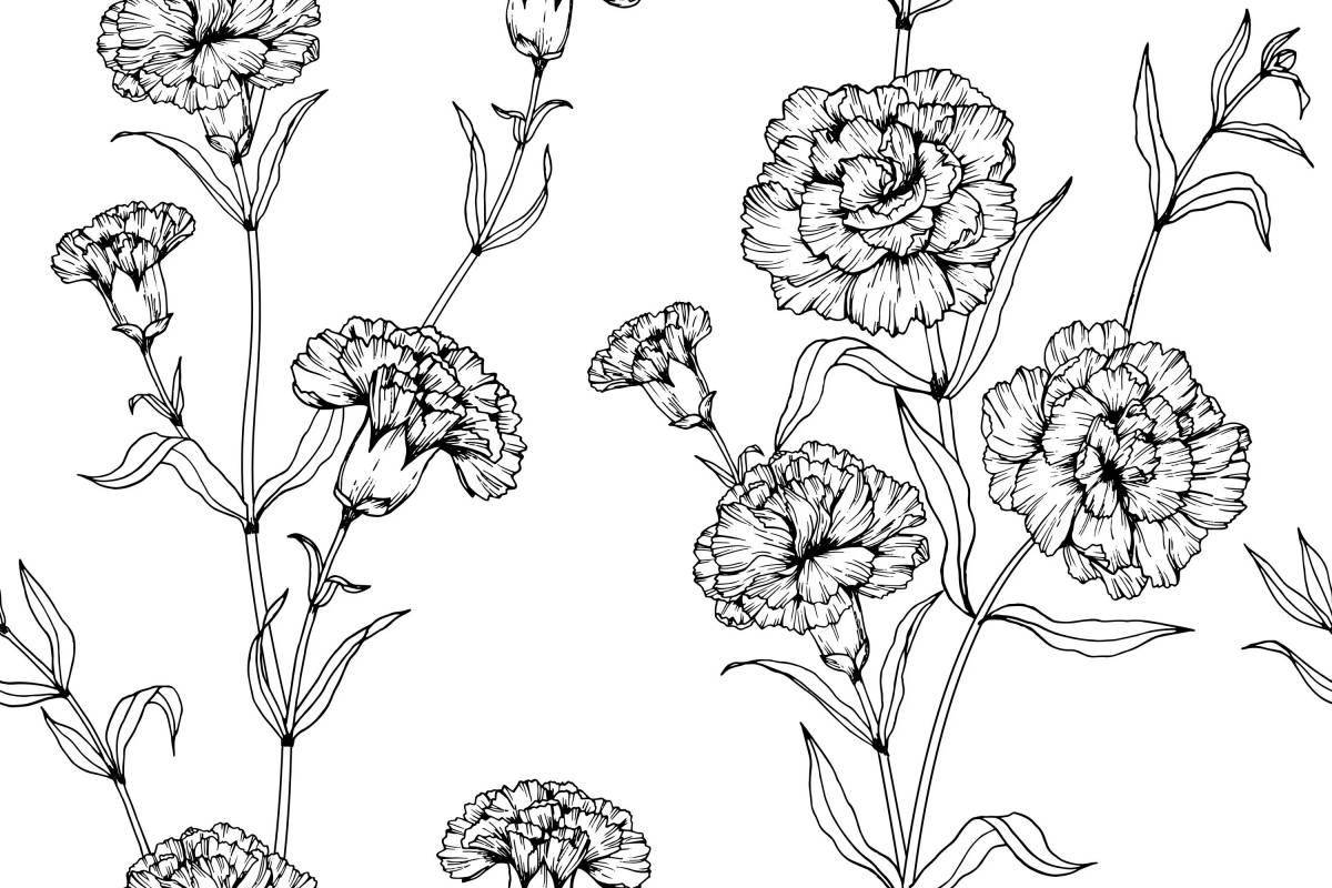 Coloring book playful bouquet of carnations