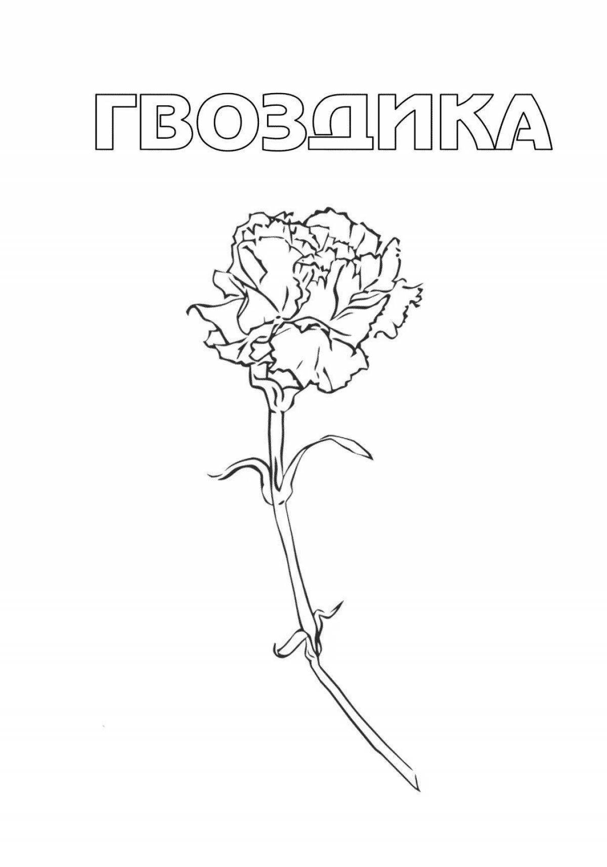 Coloring book glowing bouquet of carnations