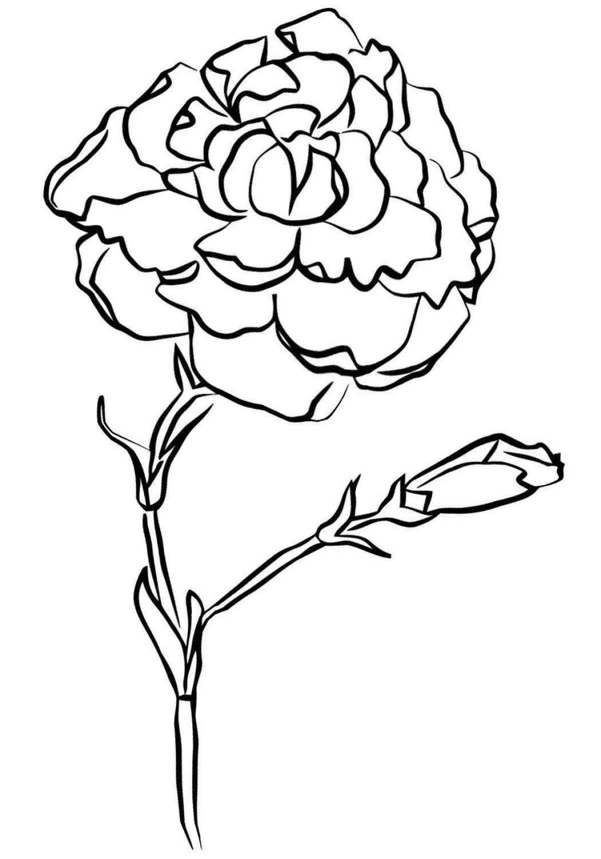 Coloring book with a blooming bouquet of carnations