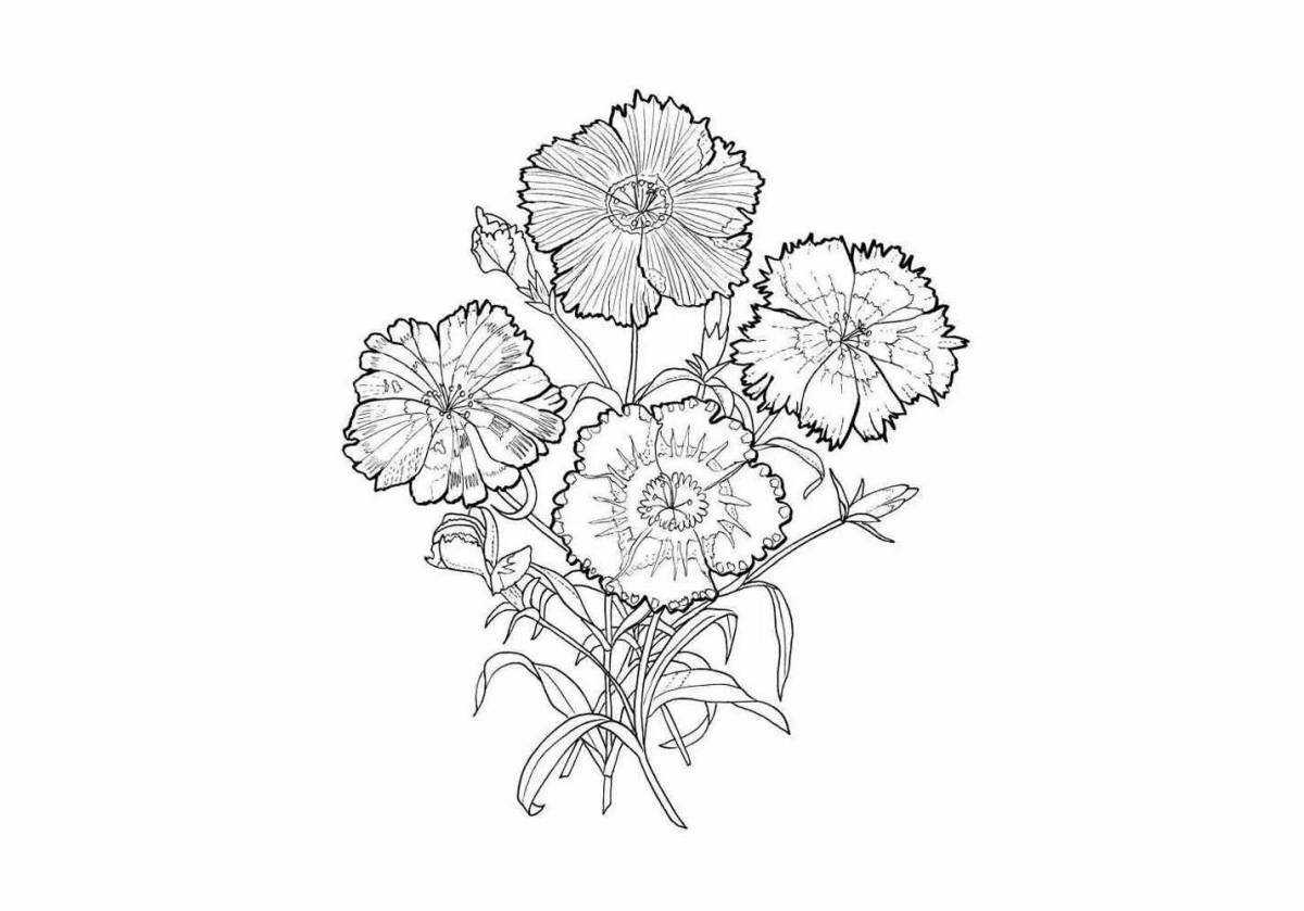 Coloring book sublime bouquet of carnations