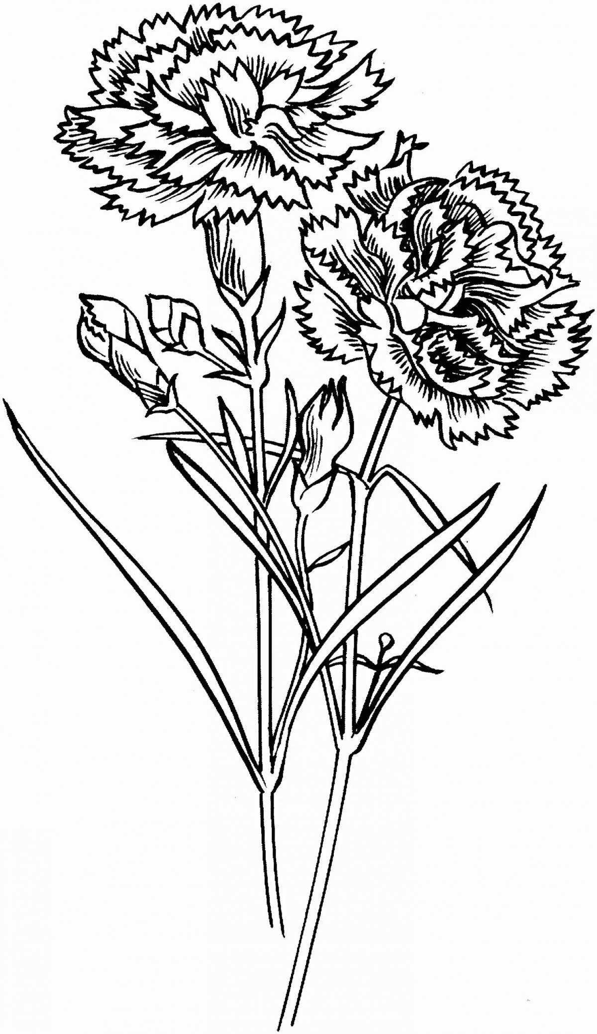Coloring book inviting bouquet of carnations