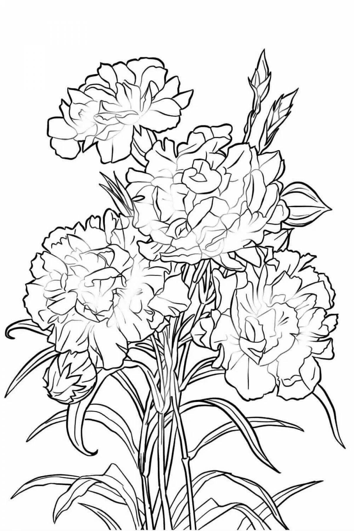 Coloring book shining colorful bouquet of carnations