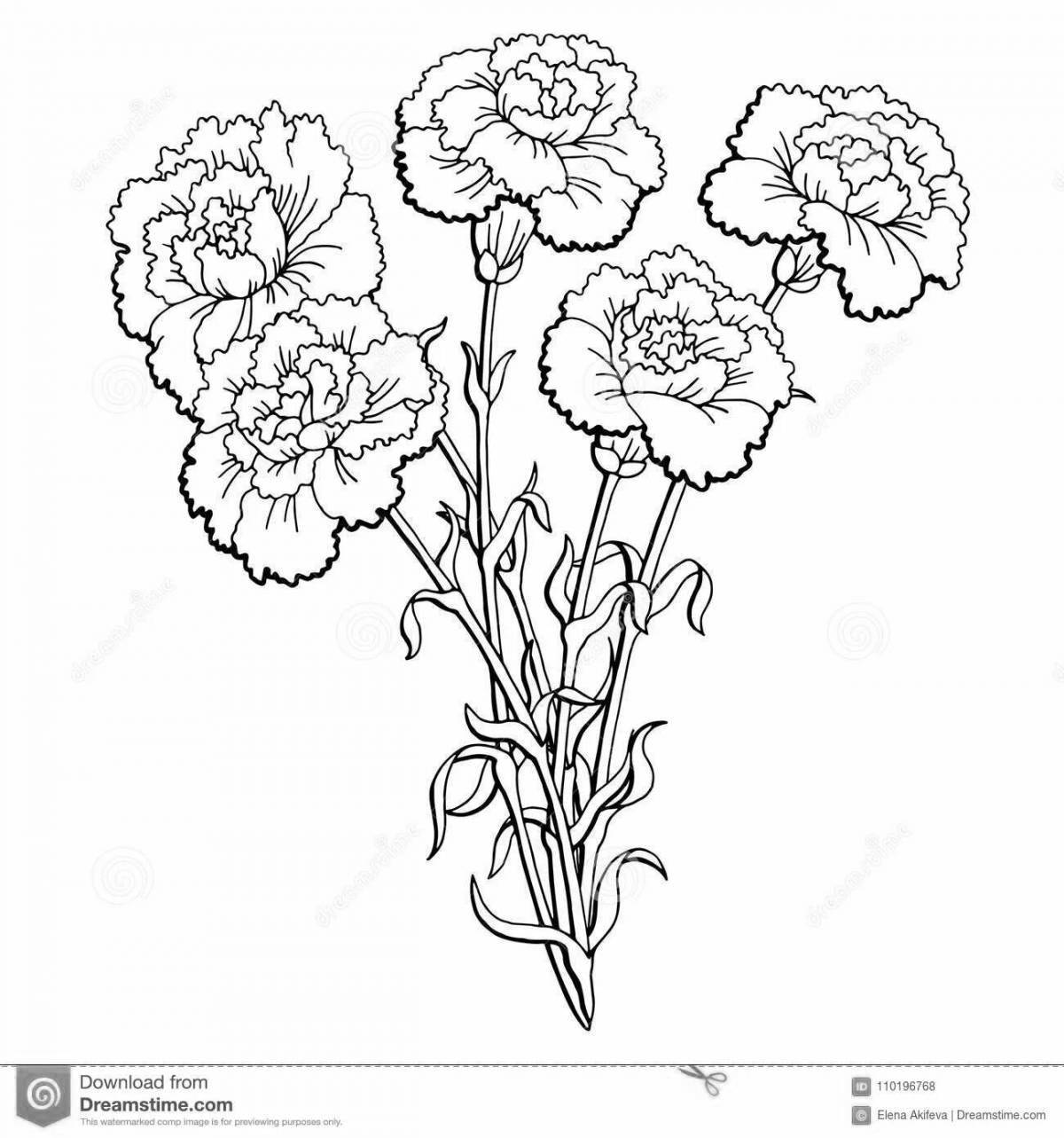 Coloring bouquet of carnations