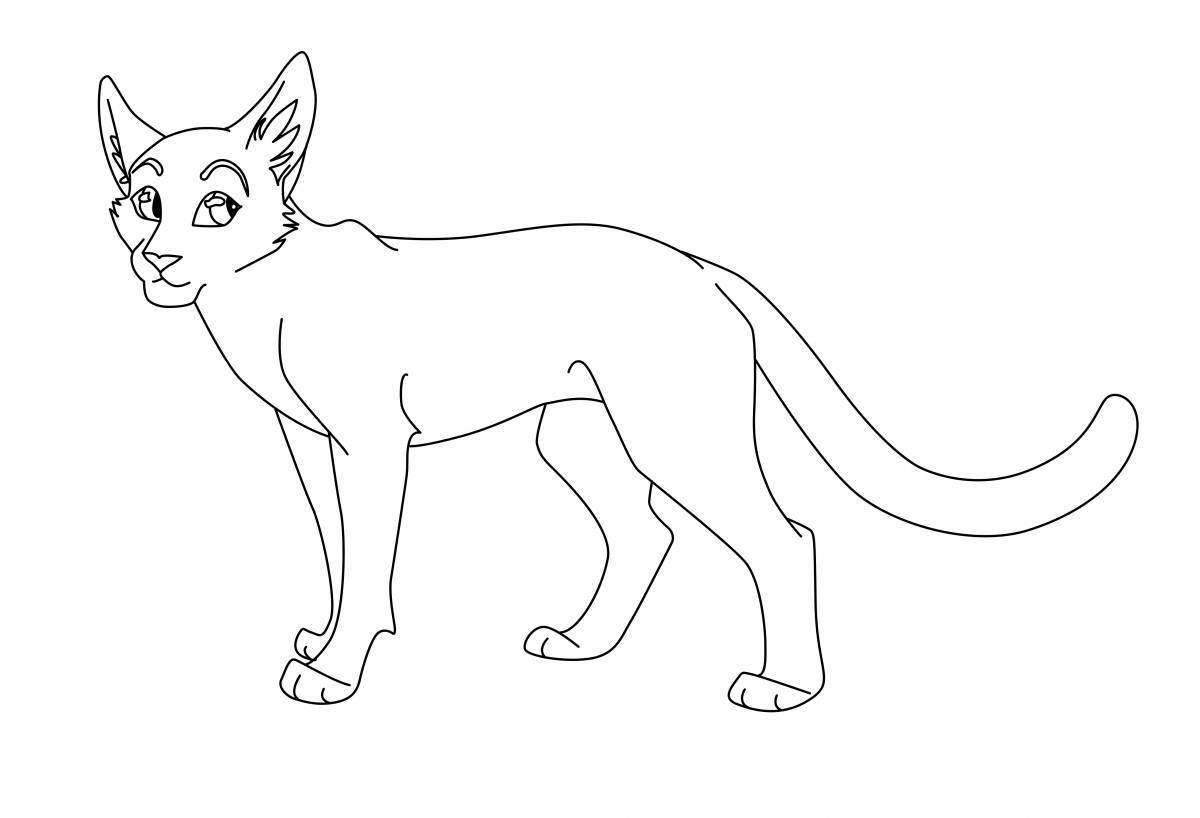 Fearless military cat coloring page