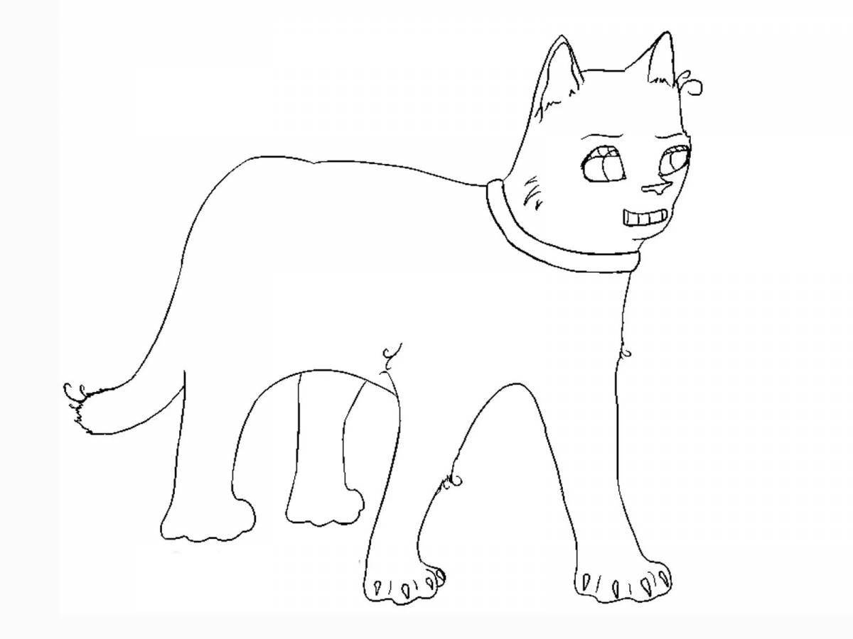 Gorgeous military cat coloring page