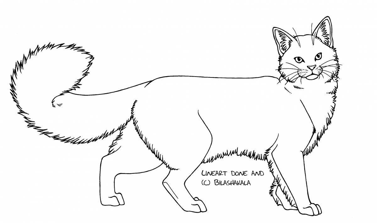 Glowing military cat coloring page