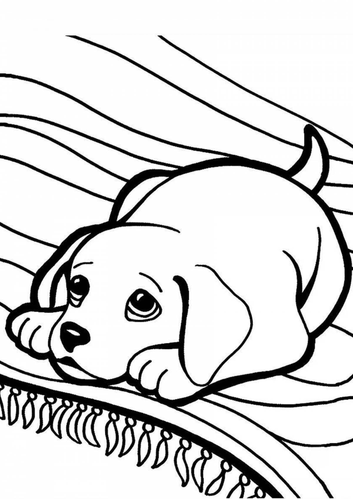Colorful dog coloring page