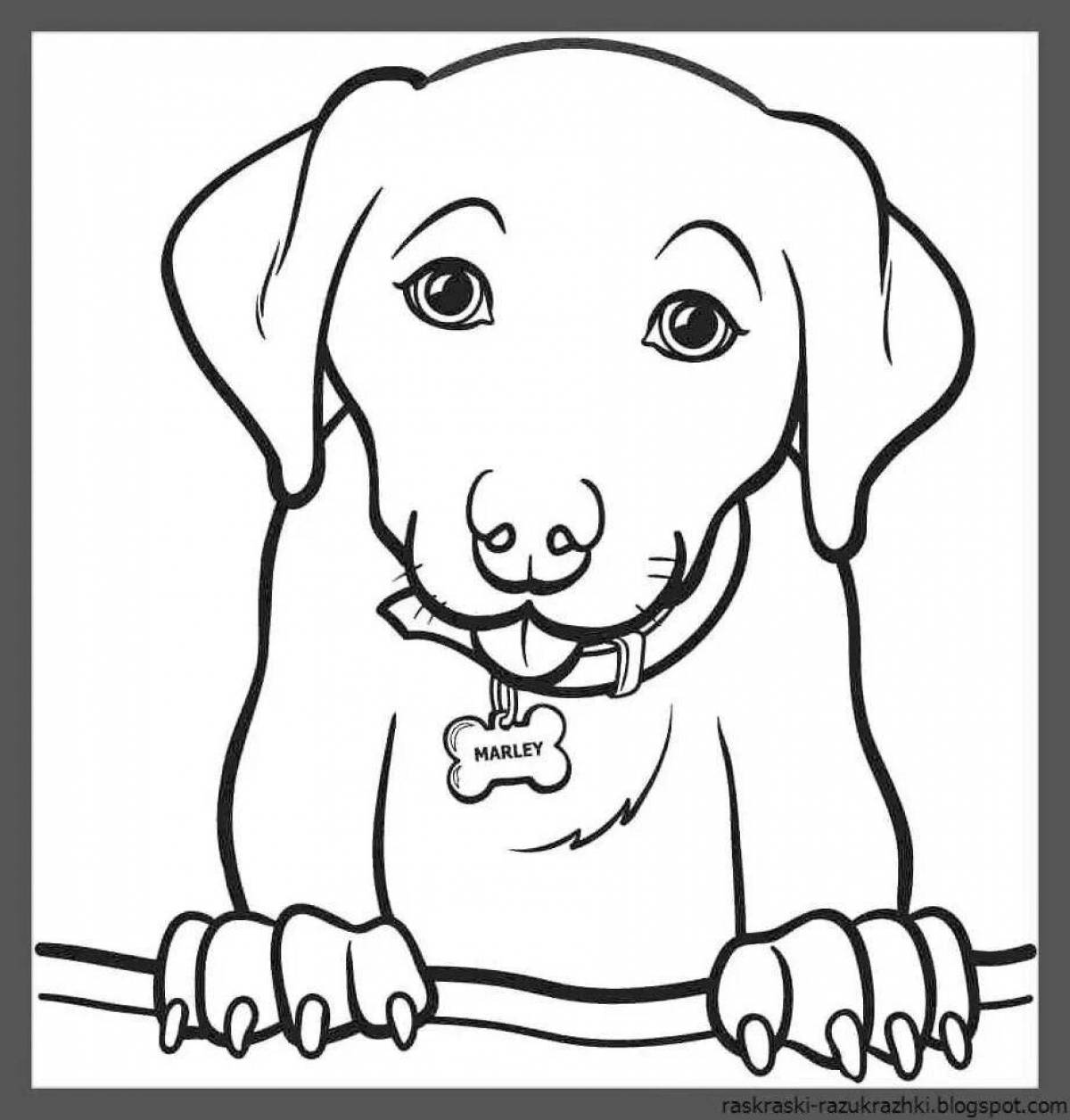 Анимированная страница раскраски собак