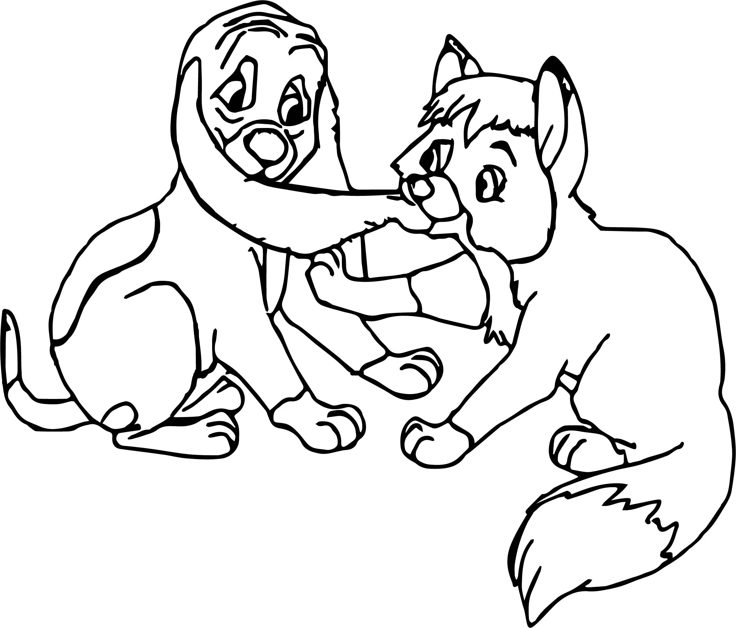 Shiny fox and dog coloring book