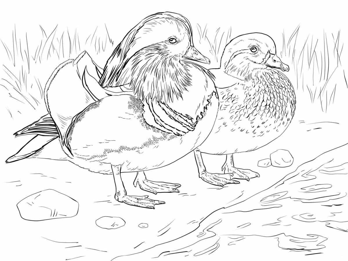 Majestic animal and bird coloring pages