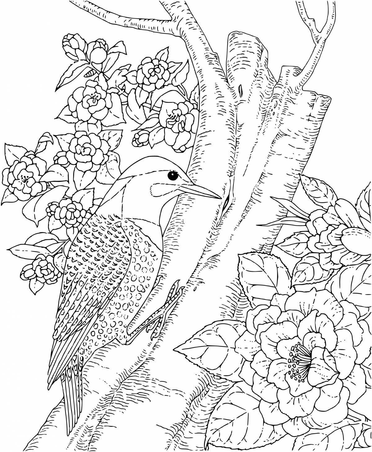 Amazing animal and bird coloring pages