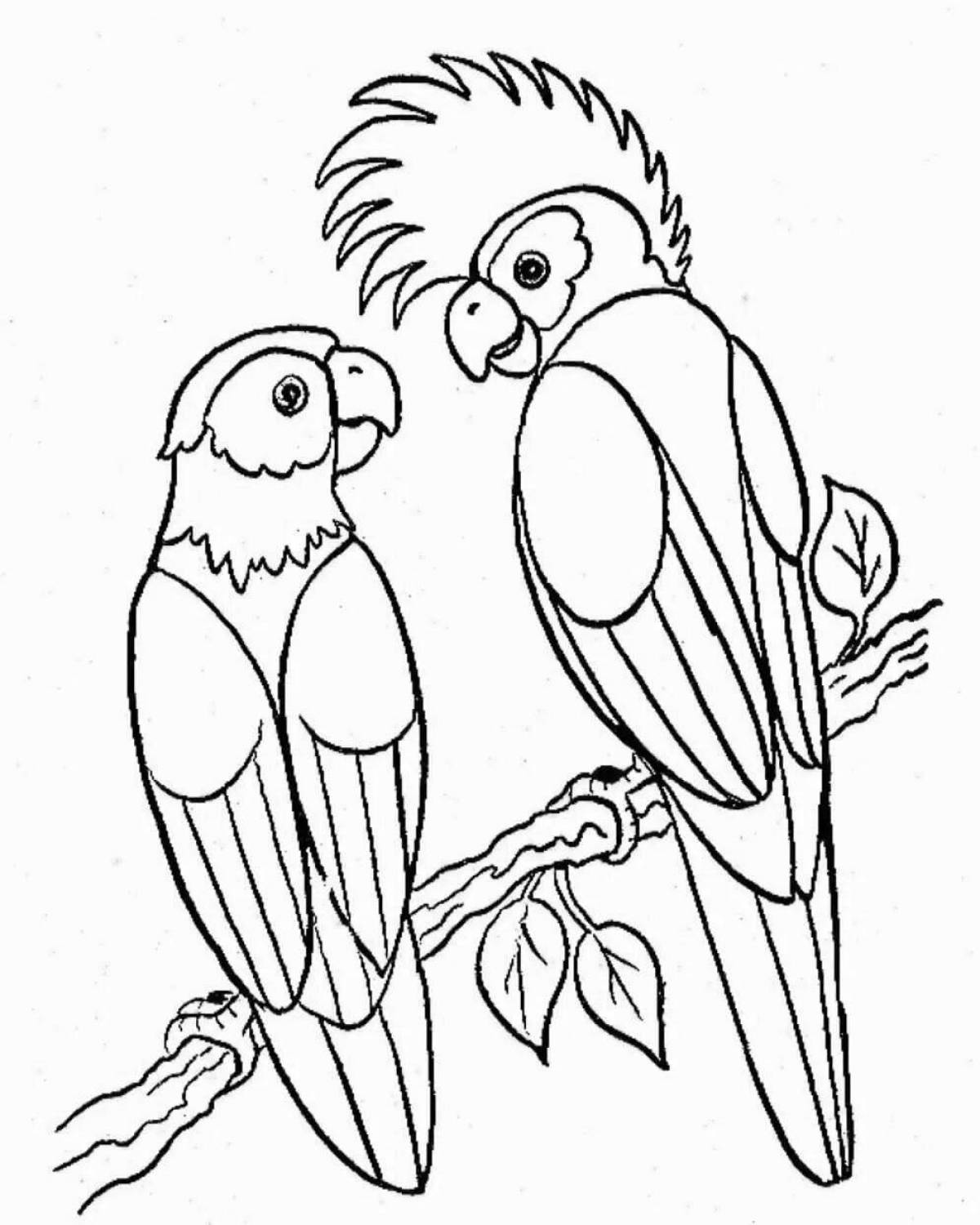 Joyful animal and bird coloring pages