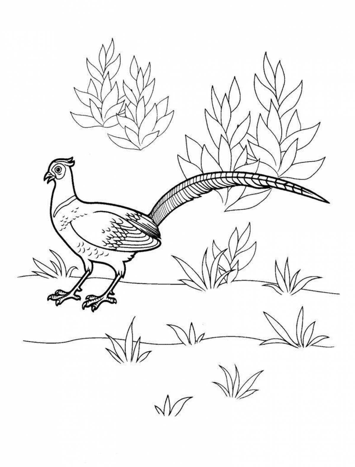 Fluffy animal and bird coloring pages