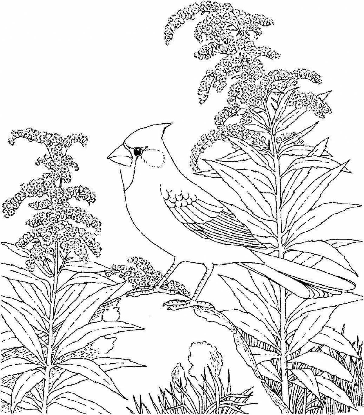 Adorable animal and bird coloring pages
