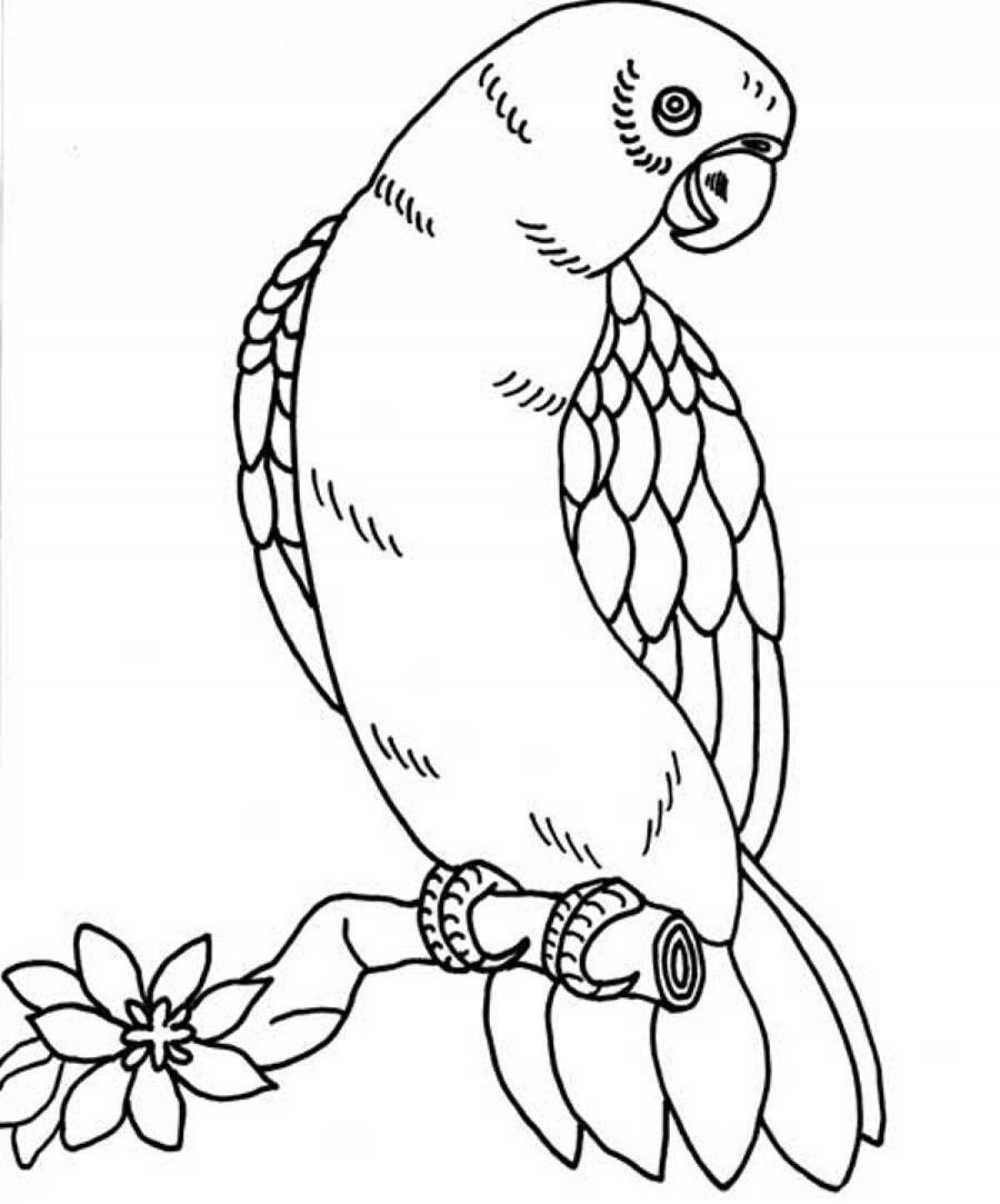 Fabulous coloring pages animals and birds