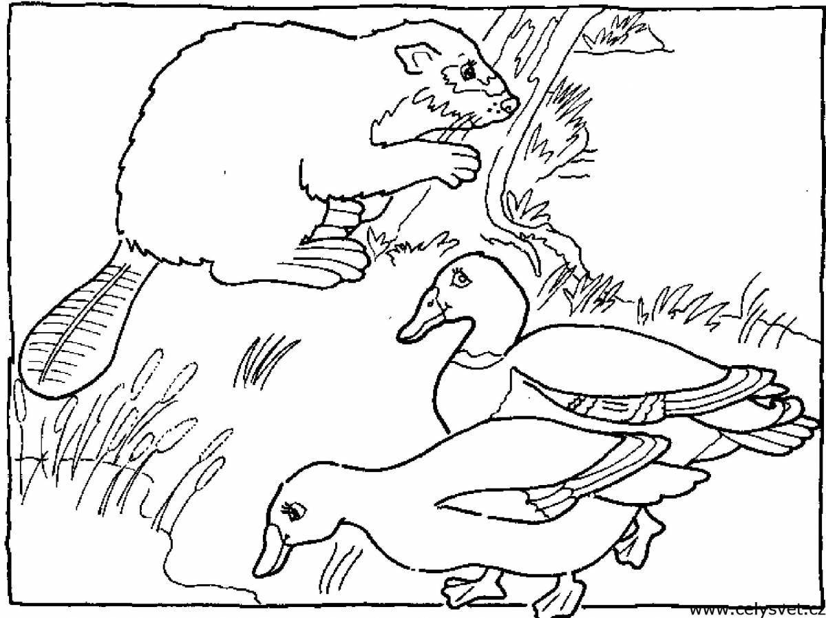 Royal animal and bird coloring pages