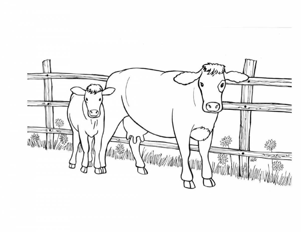Colorful cow coloring book for toddlers