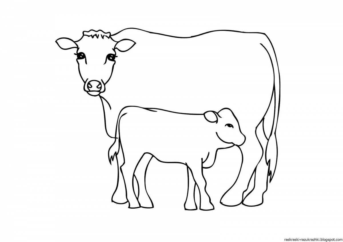 Live cow coloring for kids