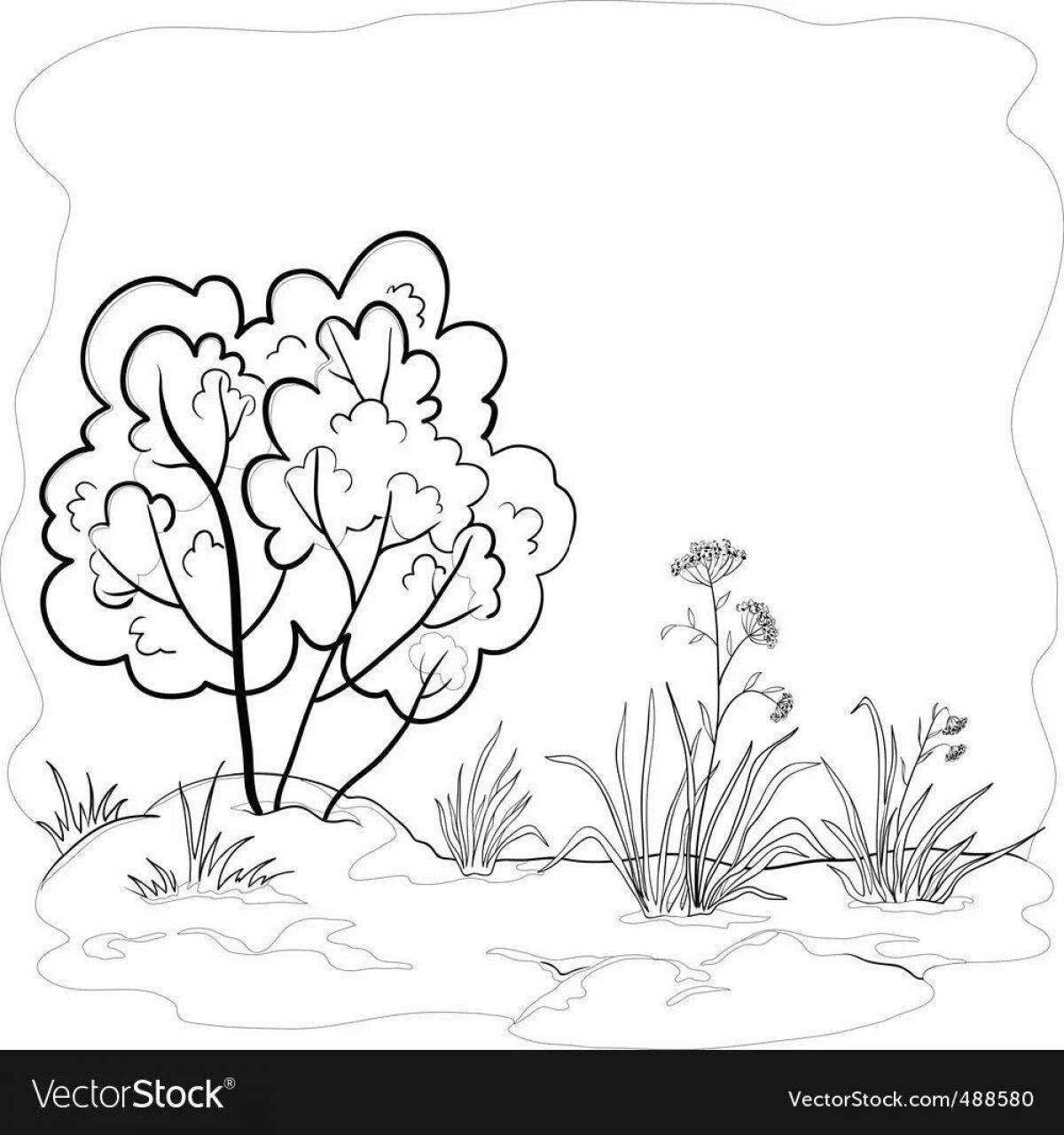 Coloring bright bush for children