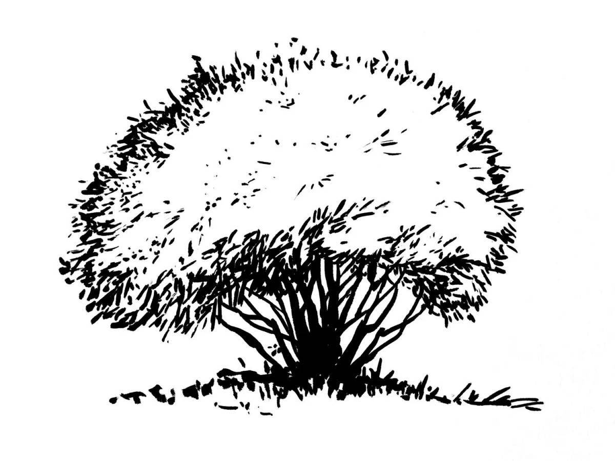 Adorable bush coloring book for kids
