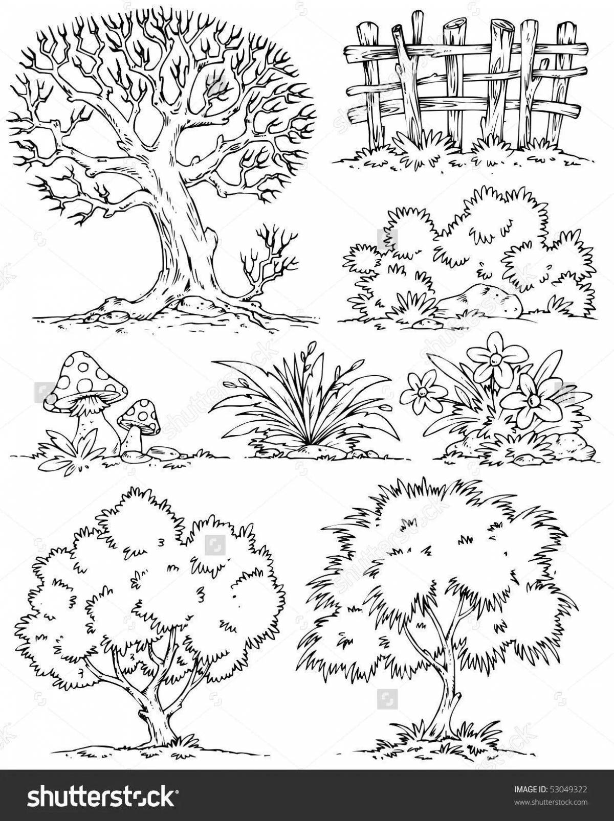Glowing bush coloring book for kids