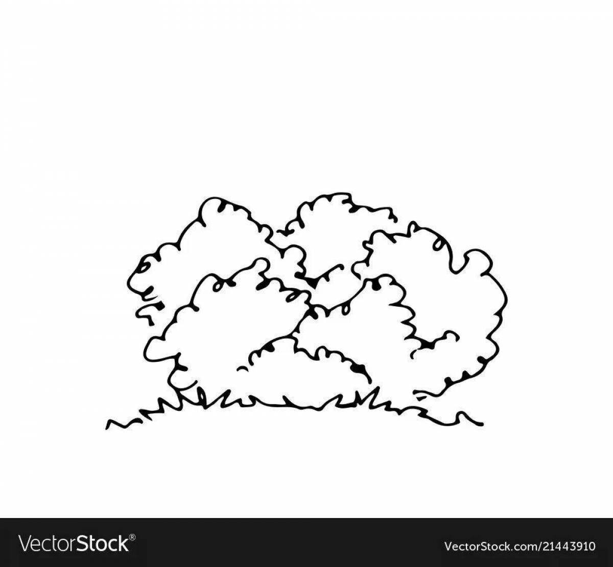 Shiny bush coloring book for kids