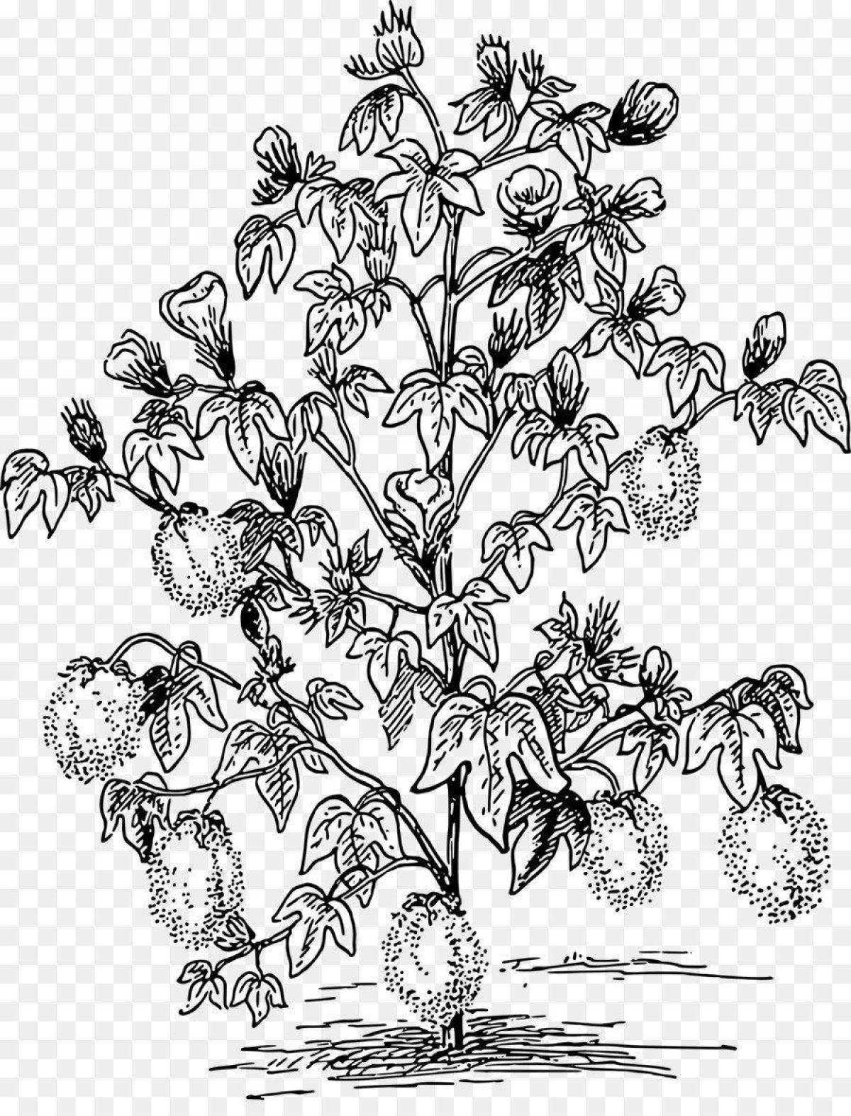 Lovely bush coloring book for kids