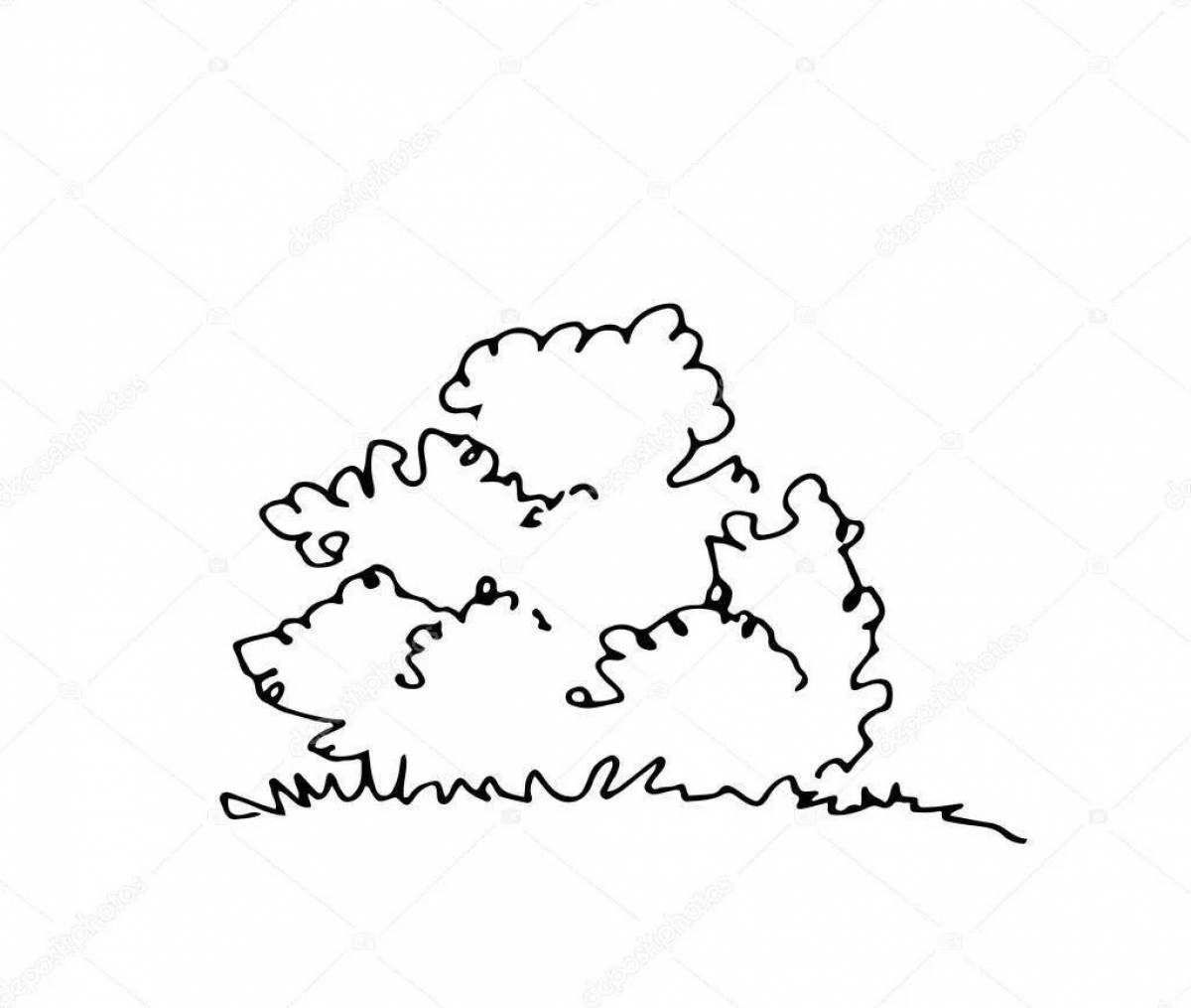 Attractive bush coloring for kids