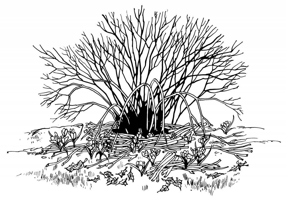 Amazing bush coloring page for kids