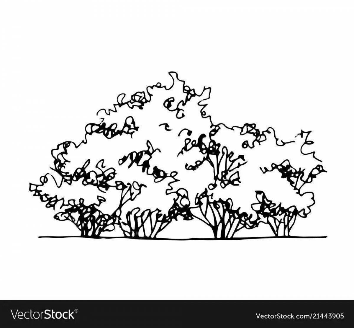 A lovely bush coloring book for kids