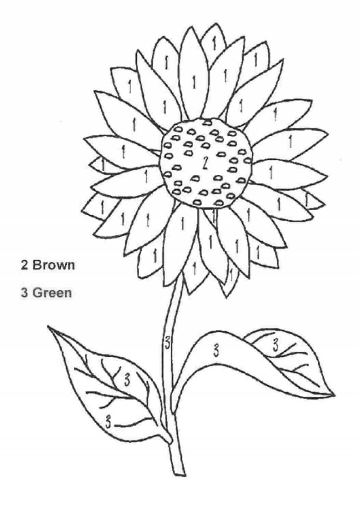Adorable flower coloring by numbers