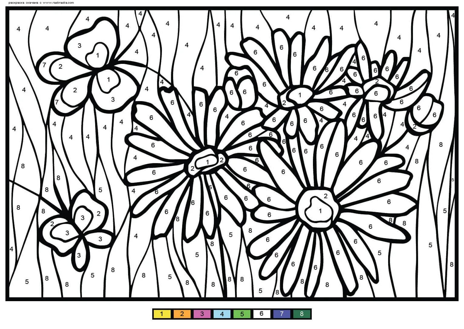 Large flower coloring by numbers