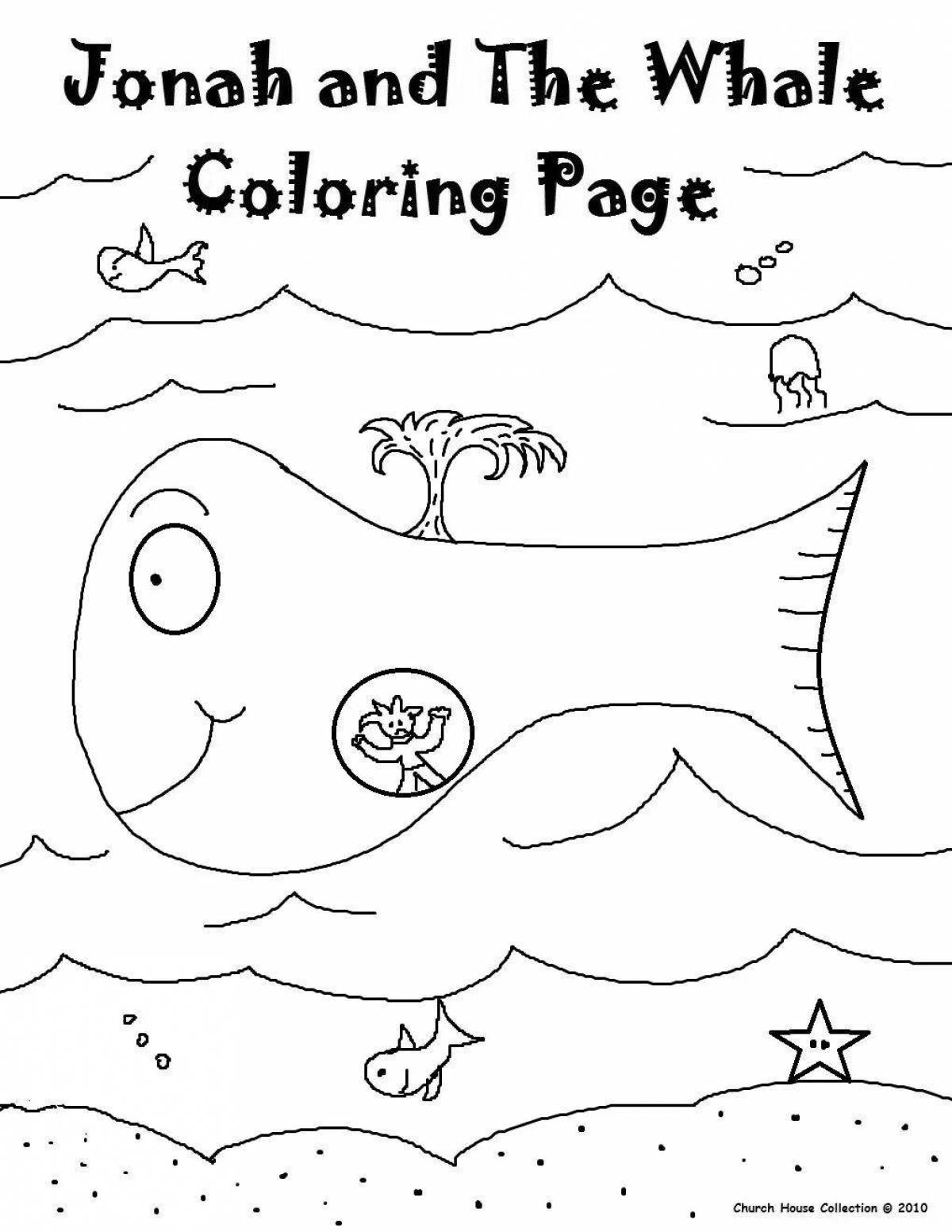Exquisite whale and iona coloring book