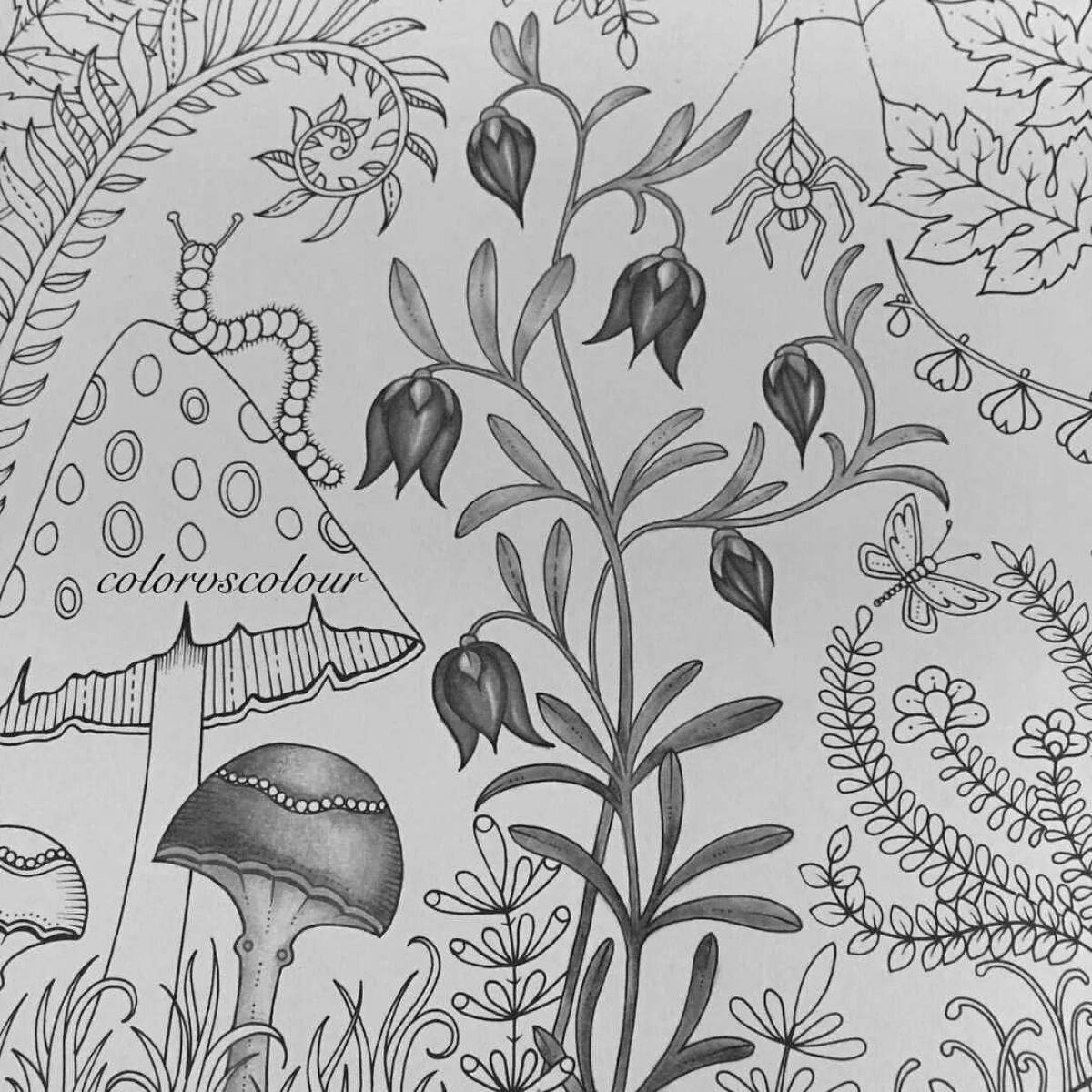 Unfamiliar coloring book antistress mysterious forest