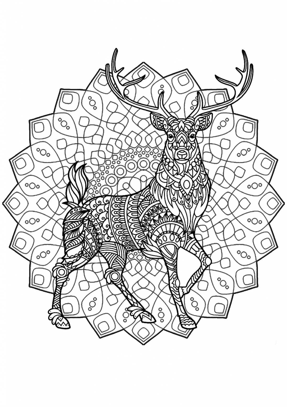 Luxury coloring mandala animals antistress