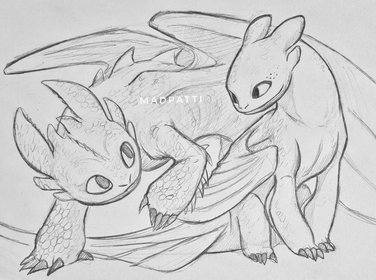 Coloring book joyful toothless and white fury
